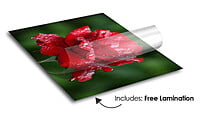 Vehicle Wrap (3M Cast) Vehicle Wrap (3M Cast)
